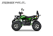 PROMAX WILD 2.0 190 PRO (2025)
